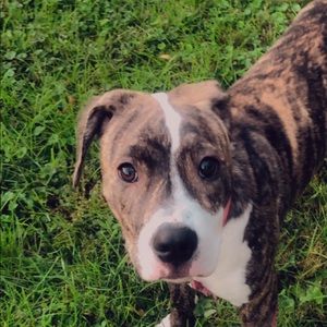 Meet your Posher, Davyaire